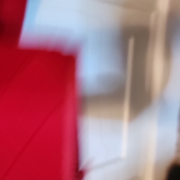 Talbots Red Fleece Jacket, Nylon Trim, Front Snap Pockets, Front Zip Sz 3XP - Picture 6 of 6